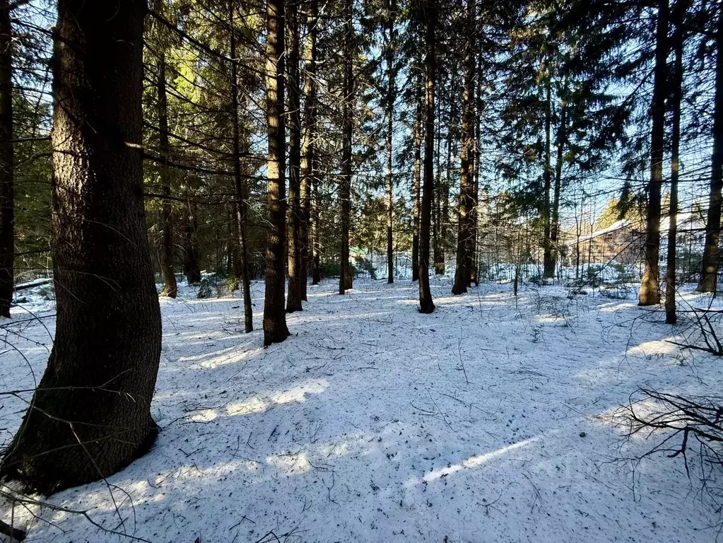 Участок в Ленинградская область, Кировский район, Шумское с/пос, пос. ... - Фото 1