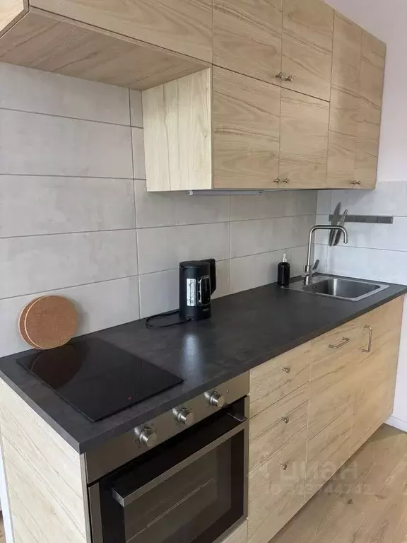 Студия Санкт-Петербург ул. Челюскина, 4 (30.0 м) - Фото 2