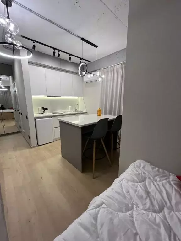 1-к кв. Краснодарский край, Сочи Верхнеимеретинская Бухта мкр,  (27.1 ... - Фото 1