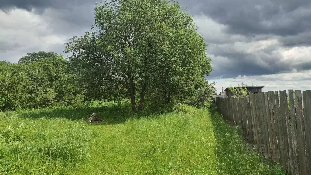 Участок в Тверская область, Конаковский муниципальный округ, Нива СНТ ... - Фото 1