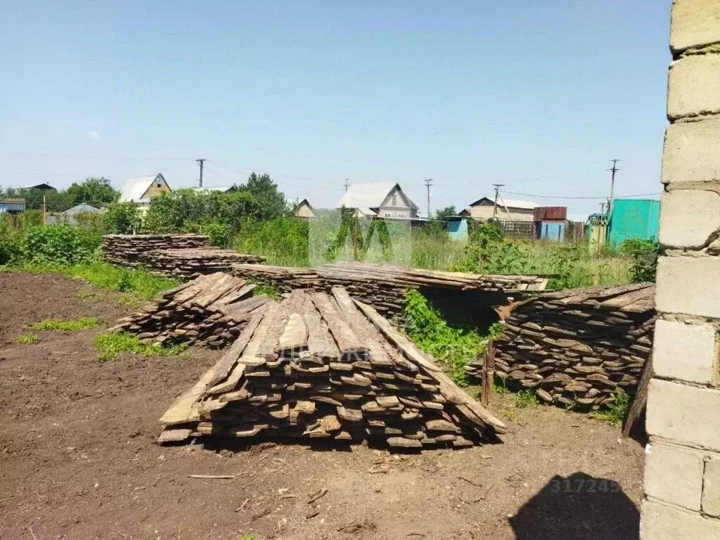 Участок в Оренбургская область, Оренбург Соловушка СТ, ул. Кленовая ... - Фото 2