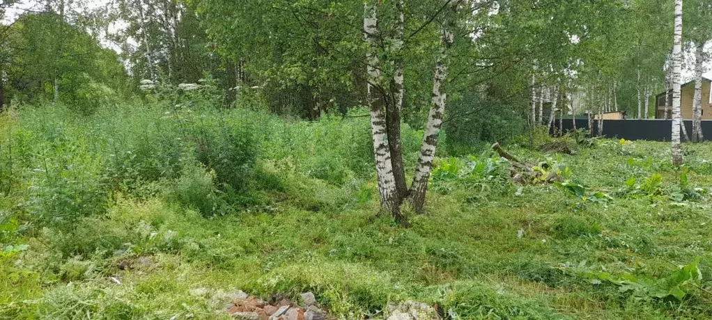 Участок в Московская область, Щелково городской округ, д. Каблуково  ... - Фото 1