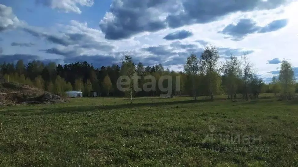 Участок в Тюменская область, Тюмень Ирбитский Тракт 3-й км от ... - Фото 1