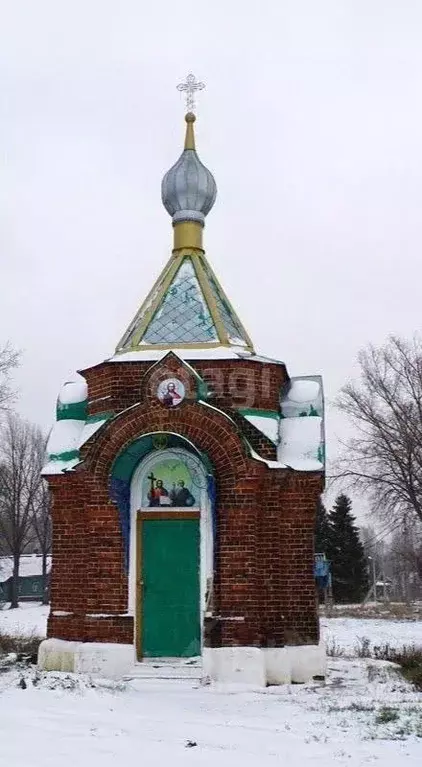 Участок в Ярославская область, Некрасовское с/пос, д. Алексино ... - Фото 1