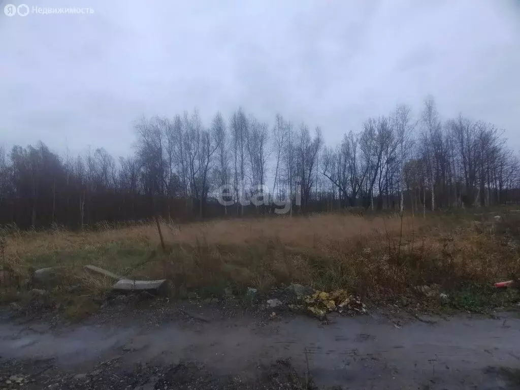 Участок в Калининградская область, Гурьевский муниципальный округ, ... - Фото 0