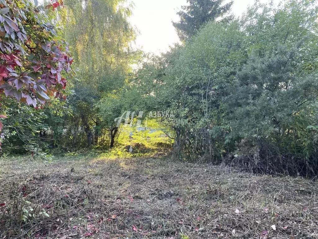 Участок в Московская область, Истра городской округ, д. Ламишино  ... - Фото 0