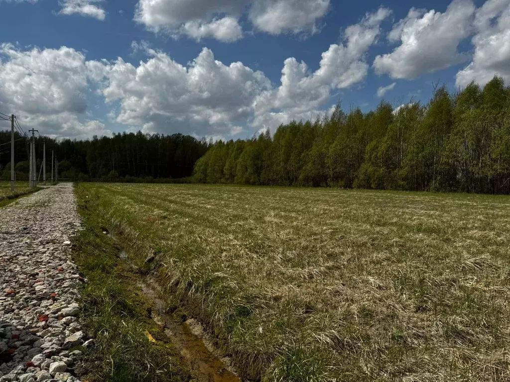 Участок в Московская область, Дмитровский муниципальный округ, Раменье ... - Фото 1