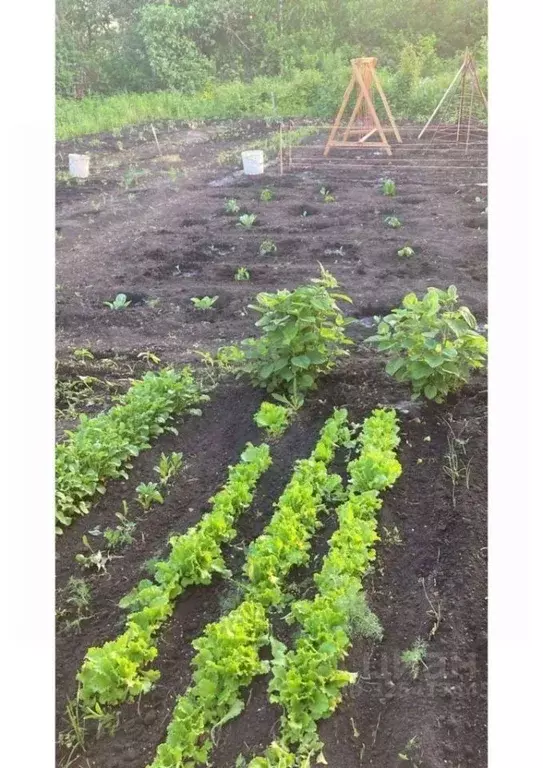 Участок в Пензенская область, Пенза Заря садоводческое товарищество,  ... - Фото 2