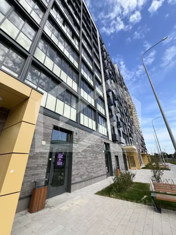 Торговая площадь в Московская область, Пушкино ул. Антона Ветчинова, 3 ... - Фото 1