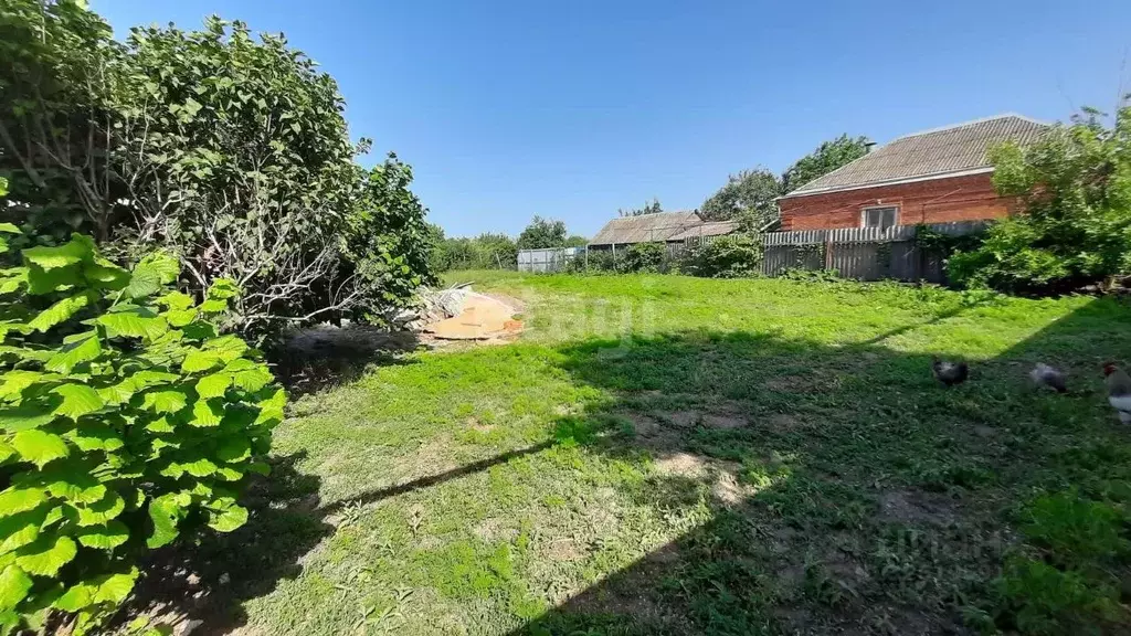 Участок в Краснодарский край, Ейский район, с. Кухаривка Почтовая ул. ... - Фото 1