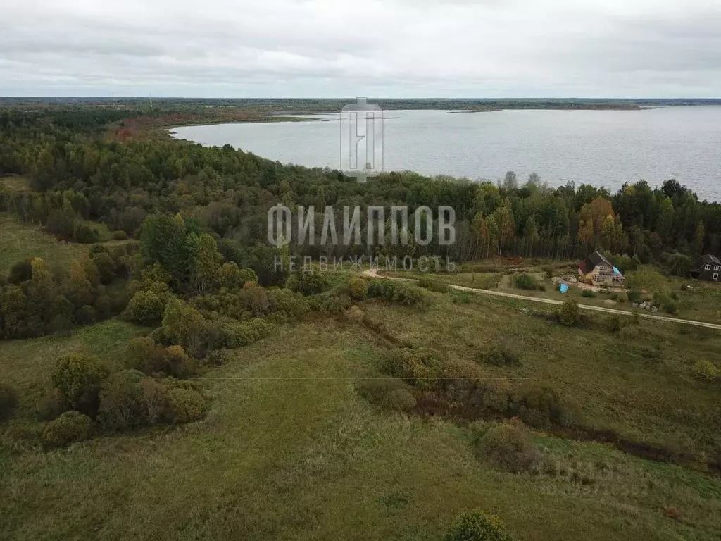 Участок в Новгородская область, Боровичский район, Железковское с/пос, ... - Фото 1