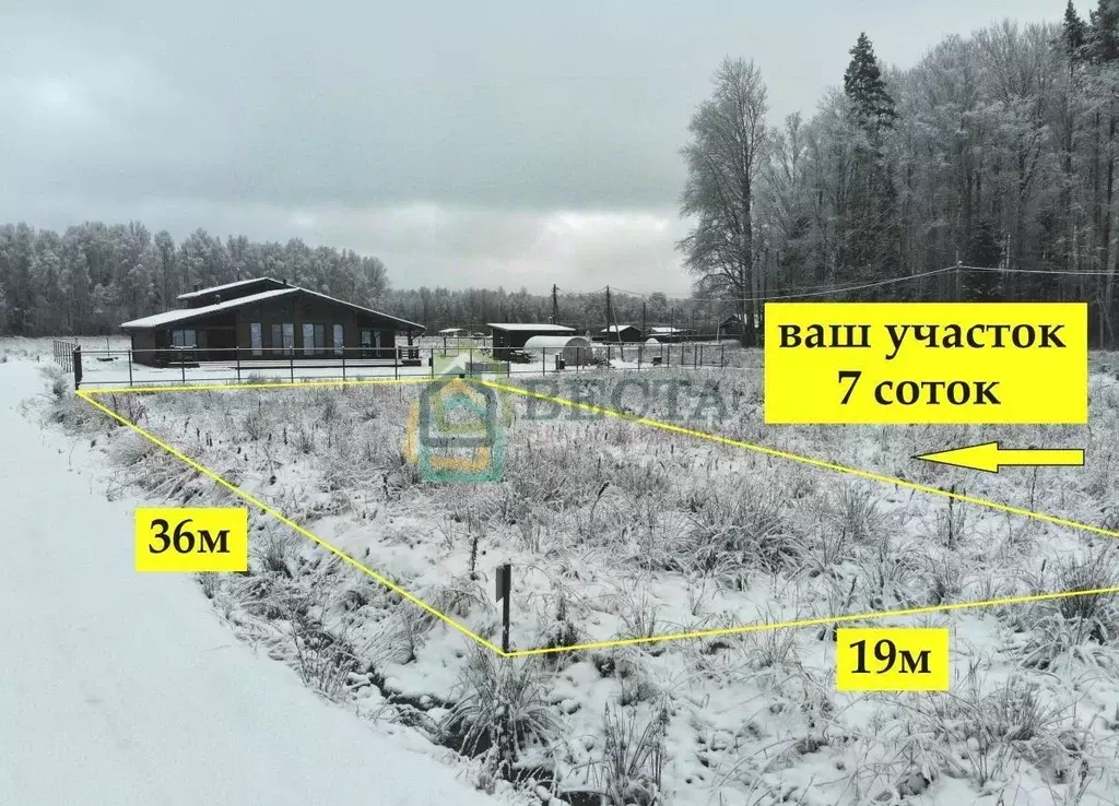 Участок в Ленинградская область, Приозерский район, Красноозерное ... - Фото 1