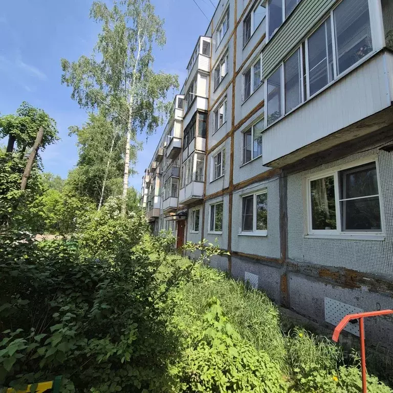 1-к кв. Владимирская область, Петушки Московская ул., 17 (30.9 м) - Фото 1