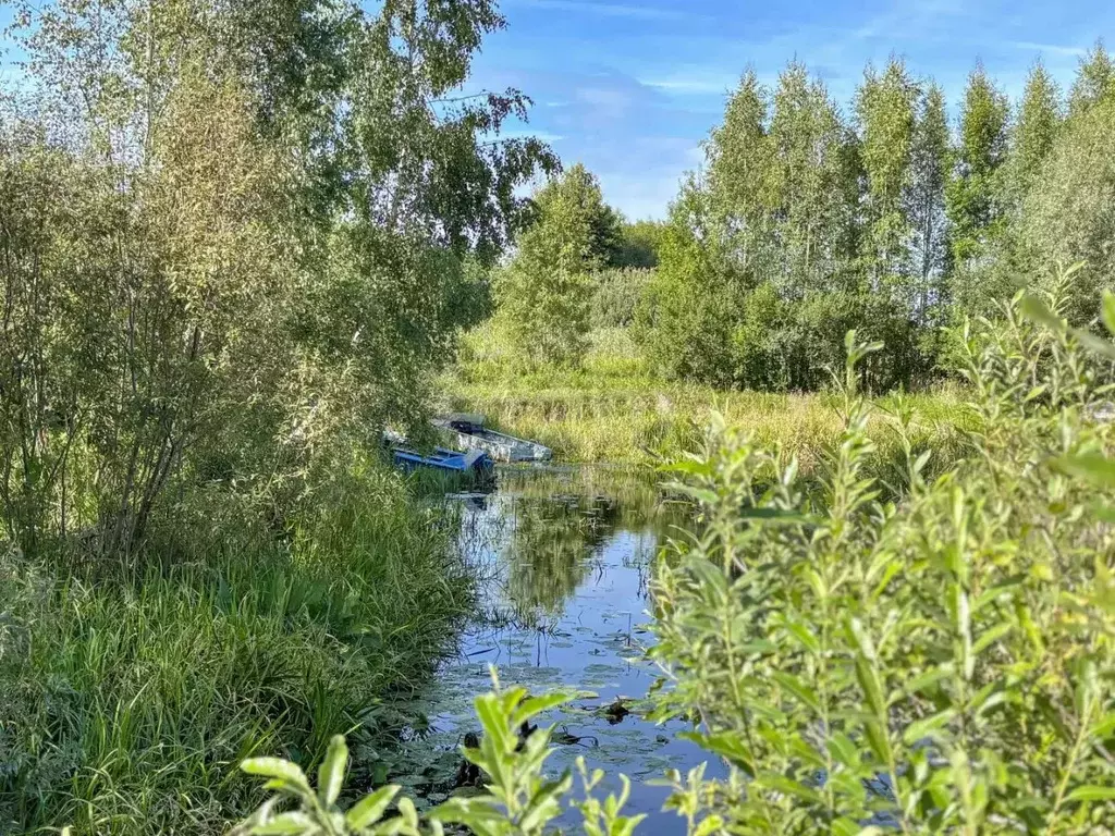 Дом в Псковская область, Печорский муниципальный округ, д. Зимний ... - Фото 1