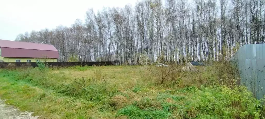 Участок в Ярославская область, Некрасовский муниципальный округ, д. ... - Фото 1