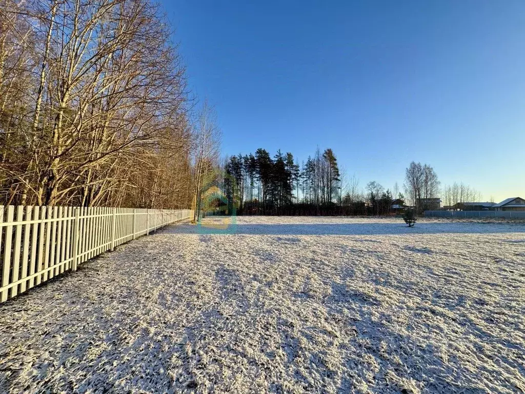 Участок в Ленинградская область, Приозерский район, Запорожское с/пос, ... - Фото 1