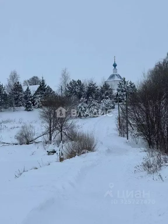 Участок в Владимирская область, Суздальский район, Павловское ... - Фото 2