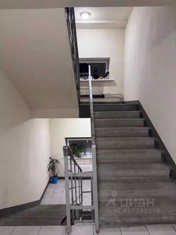 1-к кв. Московская область, Ногинск Богородский городской округ, ул. ... - Фото 2