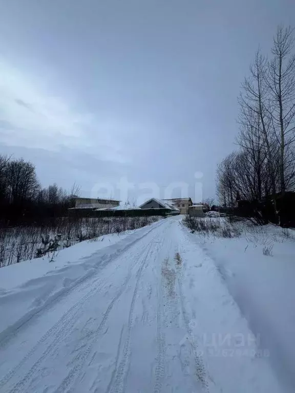 Участок в Марий Эл, Звениговский район, Кокшайское с/пос, с. Кокшайск  ... - Фото 1