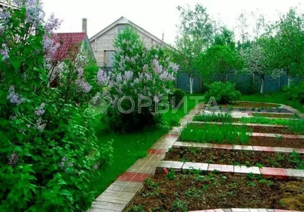 Участок в Тюмень, СНТ Бирюсинка, Центральная улица, 118 (3.92 м) - Фото 2