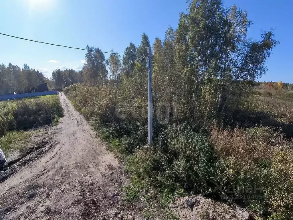 Участок в Тюменская область, Нижнетавдинский муниципальный округ, ... - Фото 1