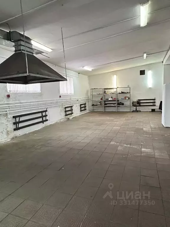 Производственное помещение в Пензенская область, Пенза ул. Литвинова, ... - Фото 2