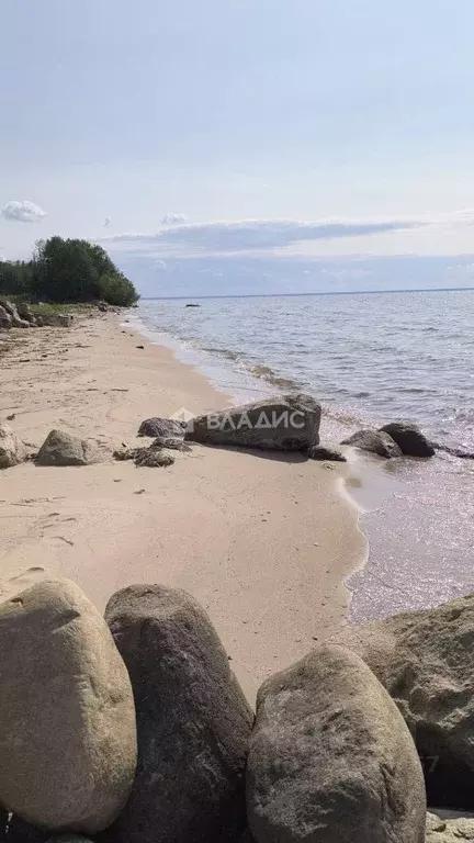 Участок в Ярославская область, Рыбинский муниципальный округ, д. ... - Фото 0