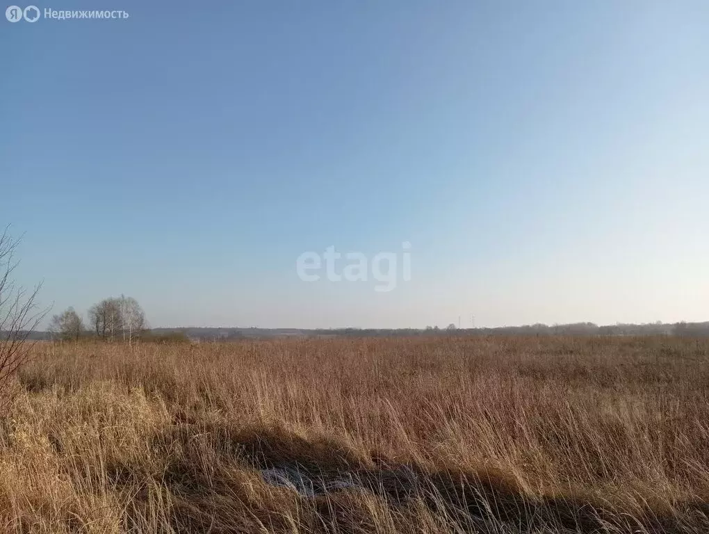 Участок в Калининградская область, Зеленоградский муниципальный округ, ... - Фото 1