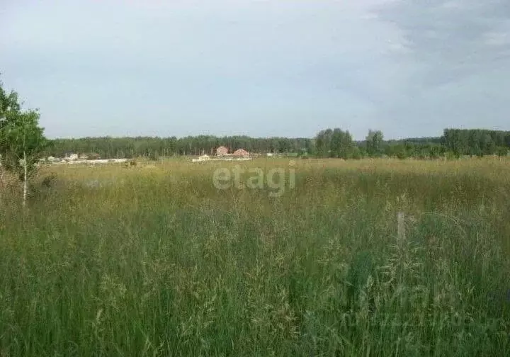 Участок в Челябинская область, Сосновский муниципальный округ, пос. ... - Фото 1