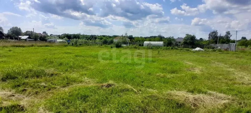 Участок в Нижегородская область, Выкса городской округ, Шиморское рп ... - Фото 2