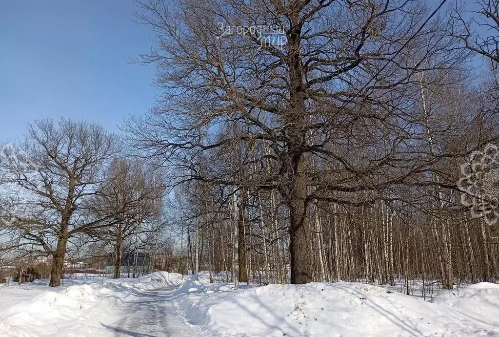 Участок в Московская область, Богородский городской округ, д. ... - Фото 1