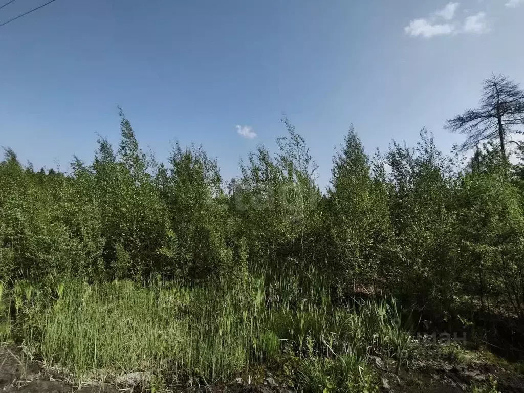 Участок в Ханты-Мансийский АО, Ханты-Мансийск Следопыт СОТ,  (9.2 ... - Фото 1