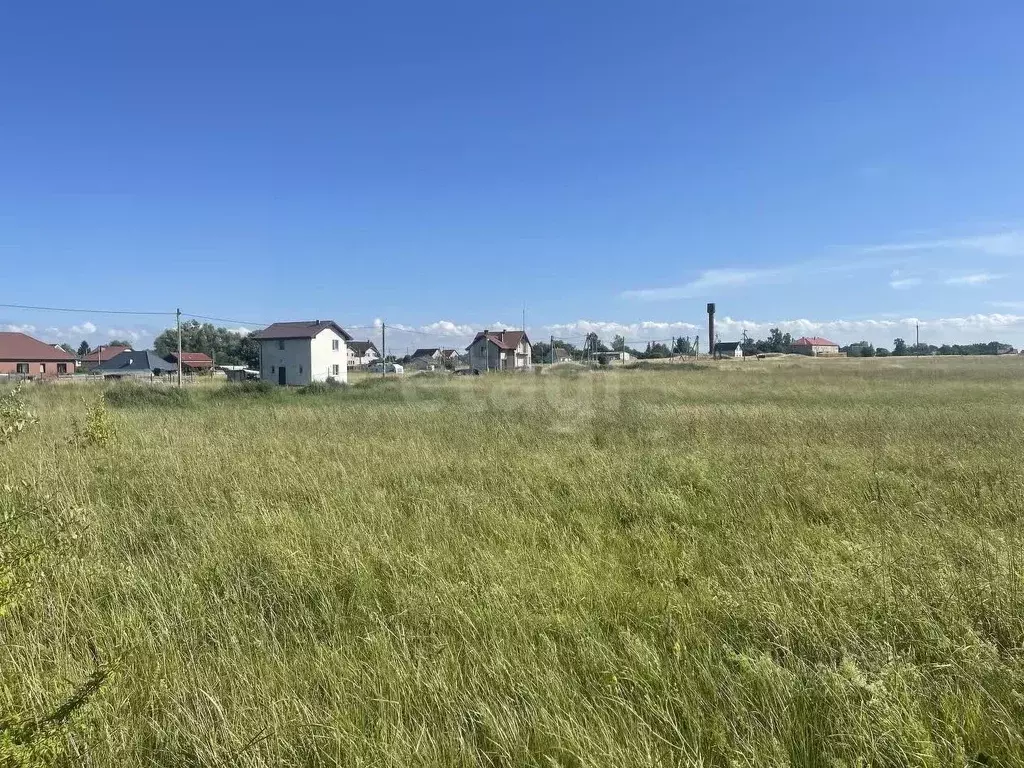 Участок в Калининградская область, Гурьевский муниципальный округ, ... - Фото 2