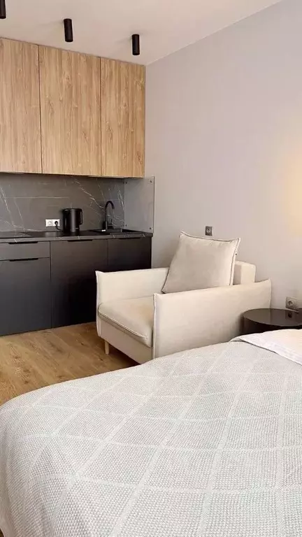 Студия Санкт-Петербург дор. На Турухтанные острова, 5к1 (22.4 м) - Фото 1