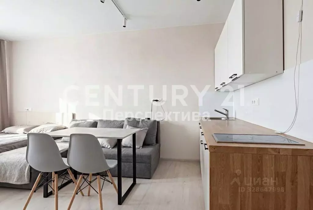 Студия Московская область, Балашиха городской округ, д. Павлино 69 ... - Фото 2