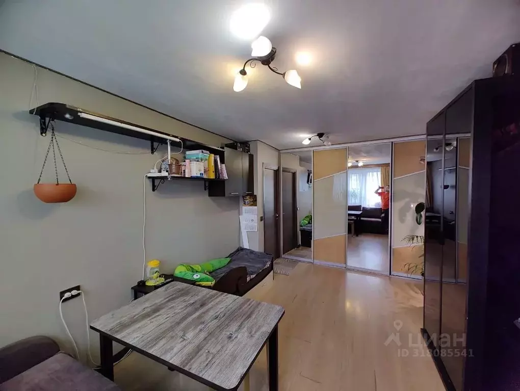Комната Санкт-Петербург ул. Коллонтай, 25К2 (28.7 м) - Фото 1