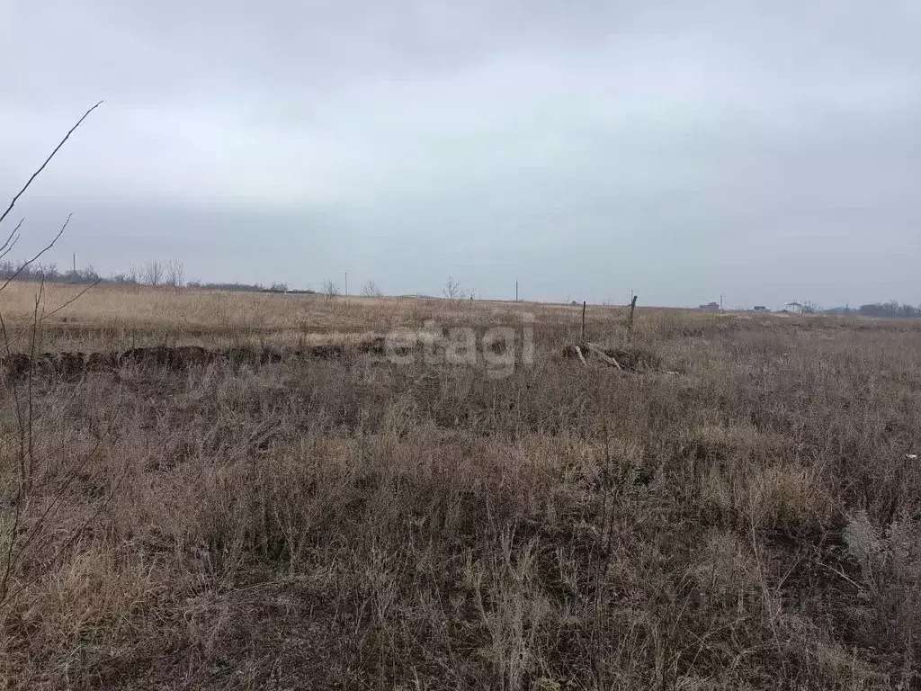 Участок в Курская область, Курский район, Новопоселеновский сельсовет, ... - Фото 0