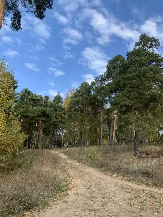Участок в Татарстан, Зеленодольский район, Васильево муниципальное ... - Фото 0
