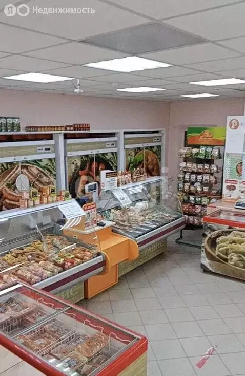 Помещение свободного назначения (50 м) - Фото 1