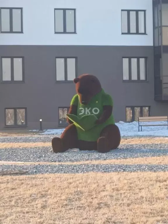 1-к кв. Красноярский край, Красноярск городской округ, пос. Солонцы ... - Фото 1