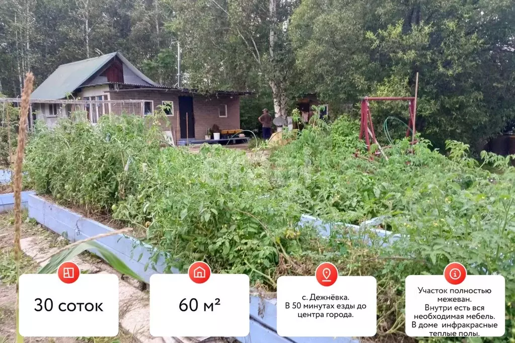 Дом в Еврейская автономная область, Смидовичский район, с. Дежневка ... - Фото 0