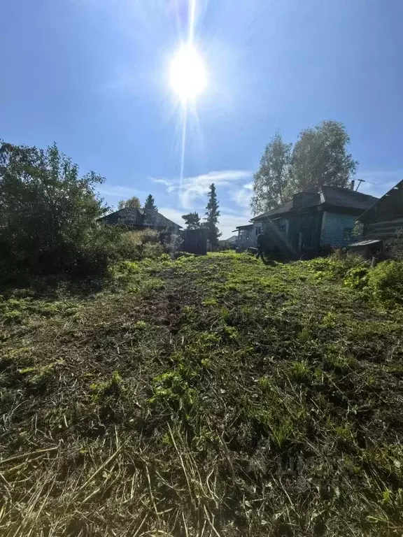 Участок в Алтайский край, Первомайский район, с. Фирсово Набережная ... - Фото 2