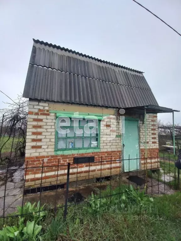 Дом в Белгородская область, Белгородский район, Рассвет дп  (40 м) - Фото 0