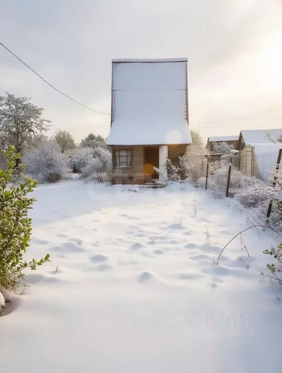 Участок в Ярославская область, Ярославский муниципальный округ, ... - Фото 1