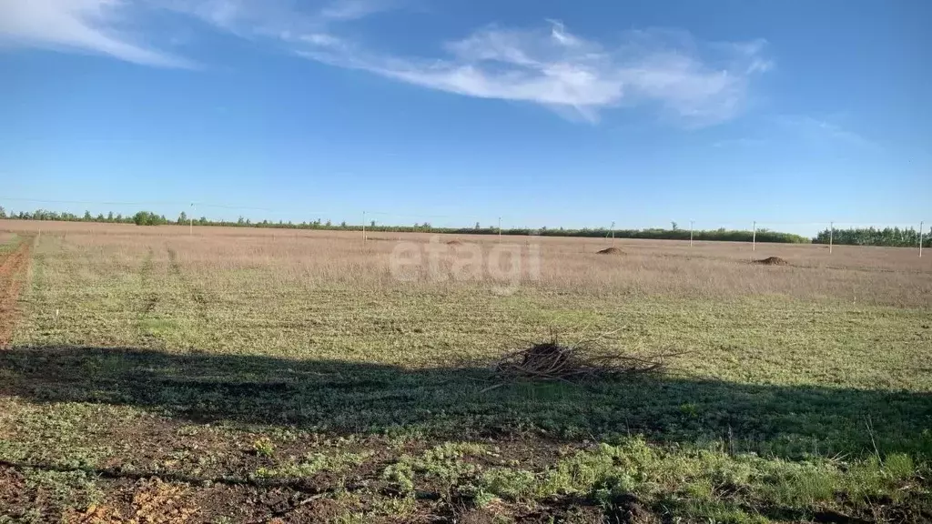 Участок в Тамбовская область, Тамбовский муниципальный округ, д. ... - Фото 1