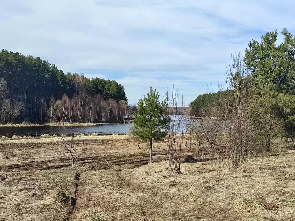 Участок в Тверская область, Калязинский муниципальный округ, д. ... - Фото 2