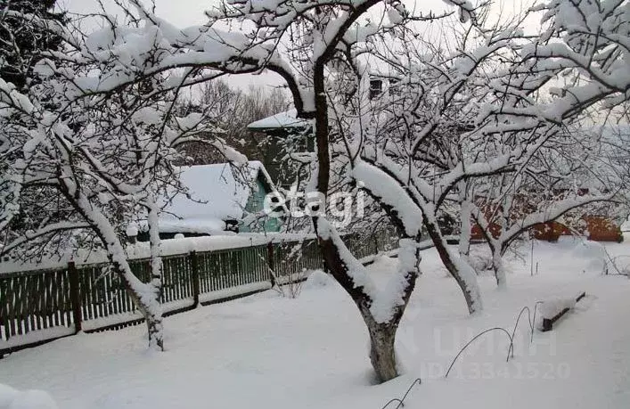 Участок в Ульяновская область, Ульяновск Дендрарий СНТ,  (6.0 сот.) - Фото 0