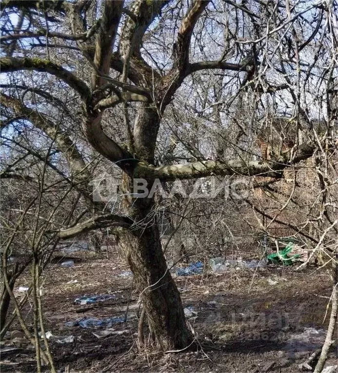 Участок в Москва пос. Абабурово, ул. Ломоносова (6.0 сот.) - Фото 2