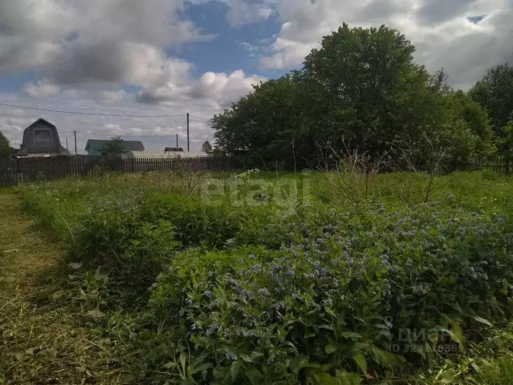 Участок в Вологодская область, пос. Непотягово ул. Рябиновая (4.7 ... - Фото 1