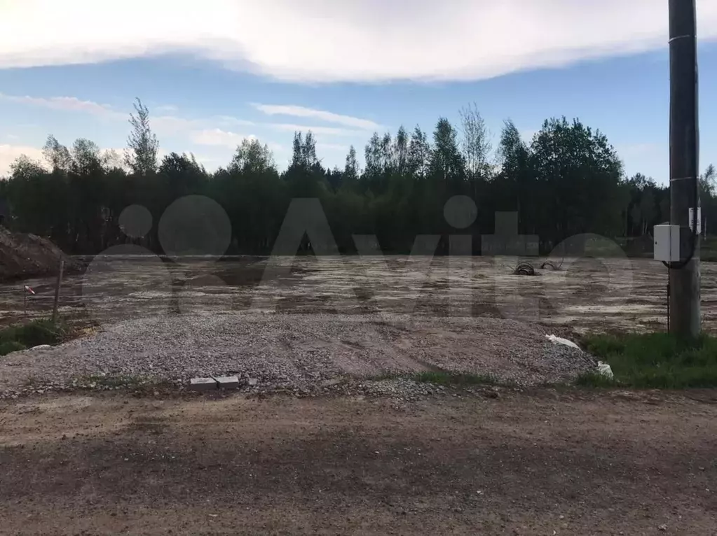 Участок 12 сот. (СНТ, ДНП) - Фото 1